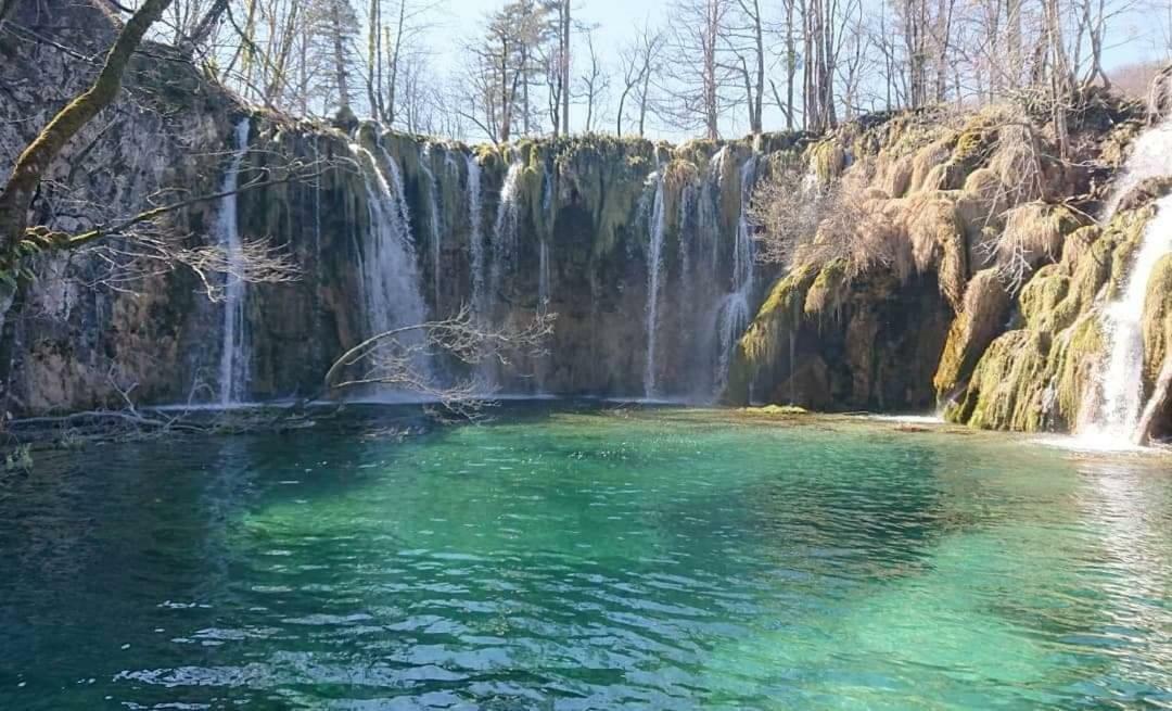 Guesthouse Zalac スルニュ エクステリア 写真